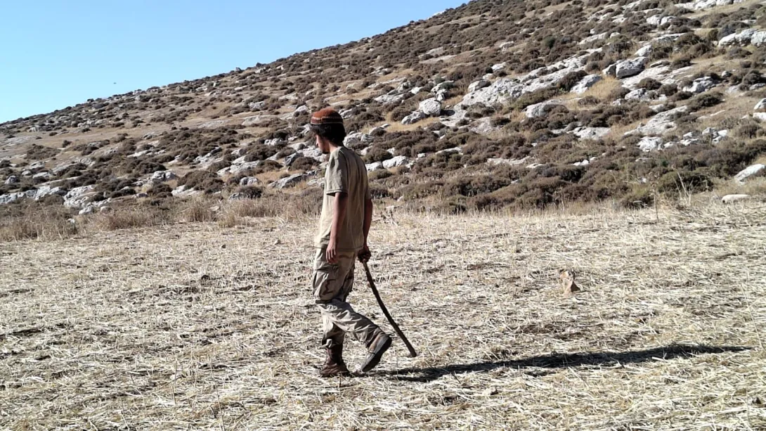 An Israeli settler from the "Hilltop Youth" movement on land belonging to a Palestinian from Mukhmas, in the occupied West Bank, on June 2, 2024.